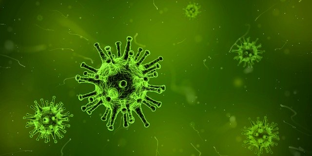 about/Banner Virus.jpg